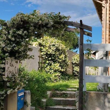La Maison Du Saule Pompignac Ngoại thất bức ảnh